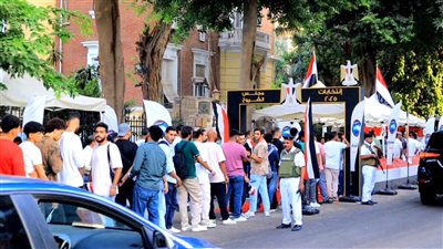 نتيجة انتخابات مجلس الشيوخ، قرار عاجل من الهيئة الوطنية بشأن فرز الأصوات 