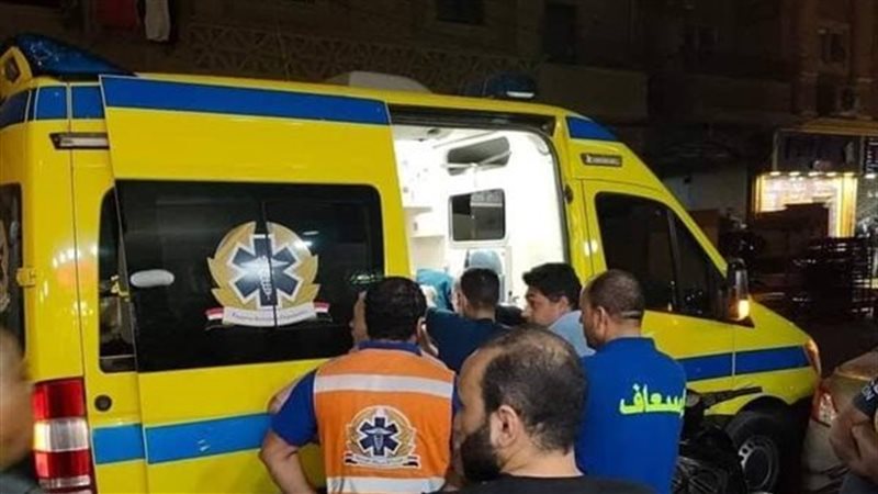 الايام المصرية