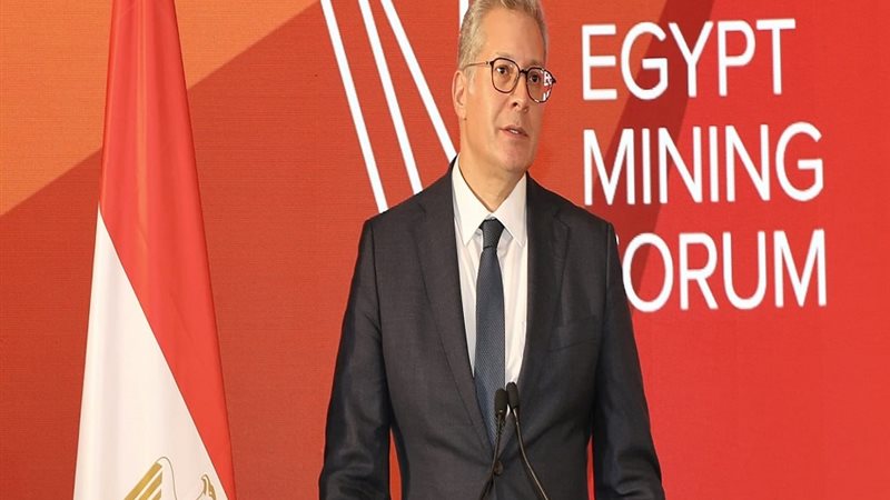المهندس كريم بدوي