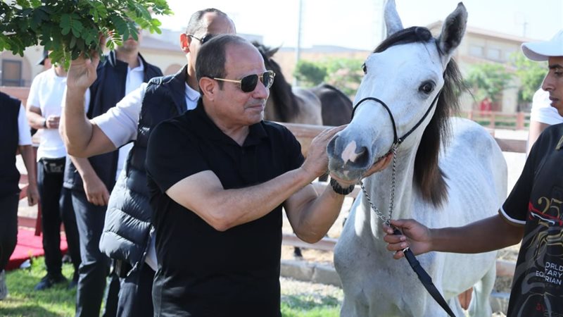 الرئيس السيسي يتفقد