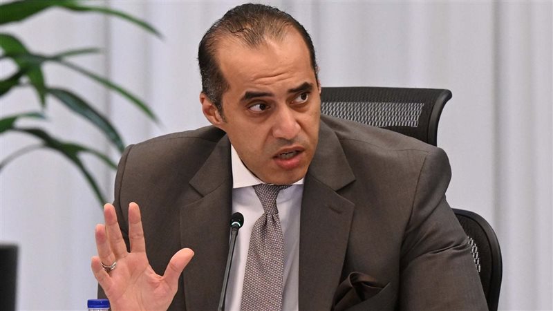 وزير الشئون النيابية