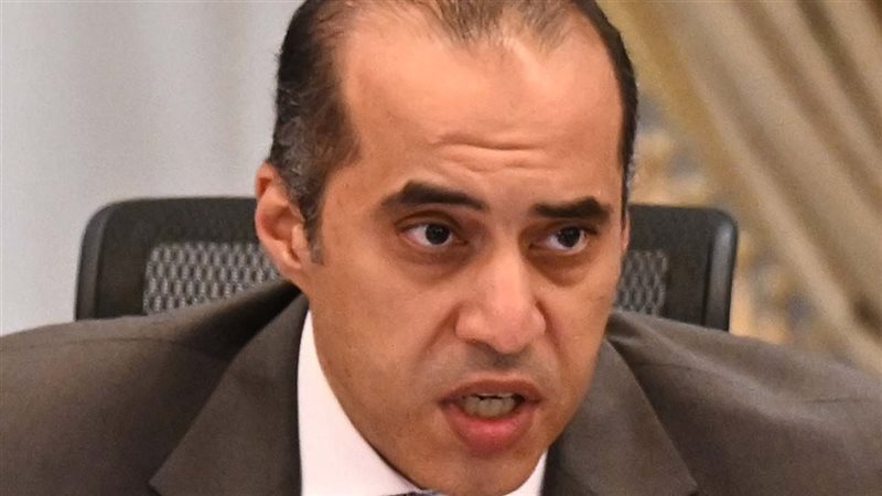 وزير الشئون النيابية