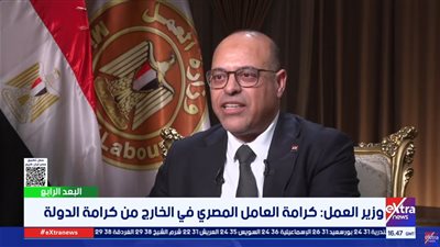 وزير العمل: نوفر فرص عمل للمصريين بالخارج، ونحمي حقوقهم من السماسرة (فيديو)