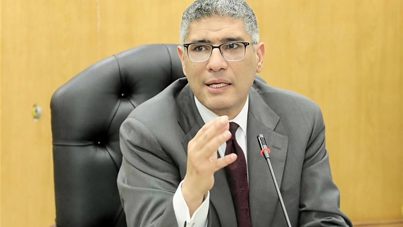 محافظ الجيزة، عادل
