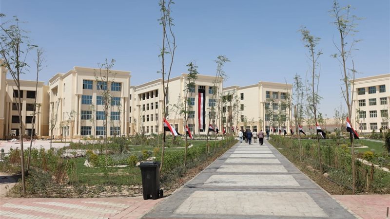 مصاريف جامعة المنيا