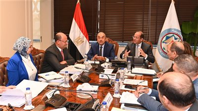 اجتماع عاجل لتحديد مصير شركات قطاع الأعمال العام وأصولها التابعة (ماذا حدث؟)