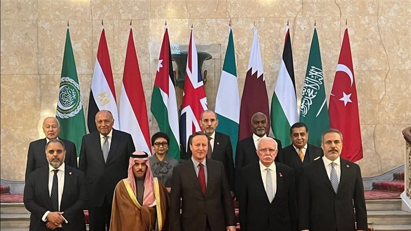 اللجنة الوزارية العربية
