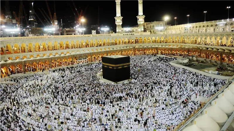 اسعار عمرة مولد النبي