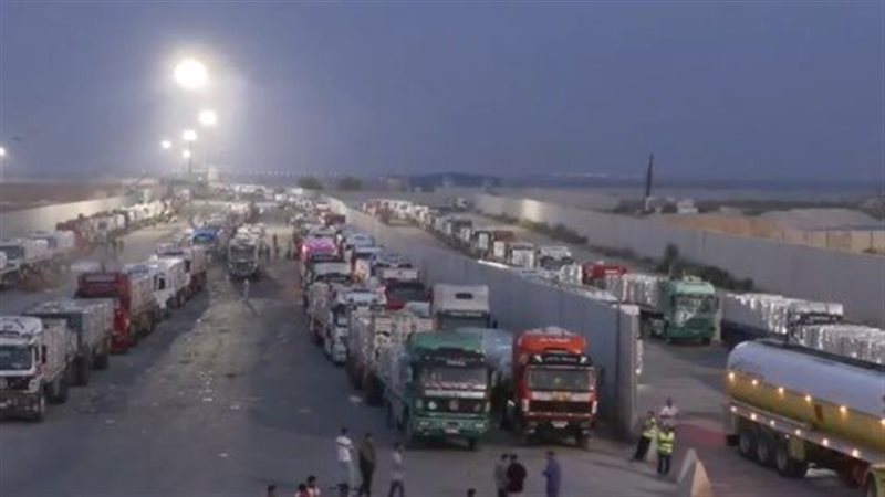 المساعدات المصرية