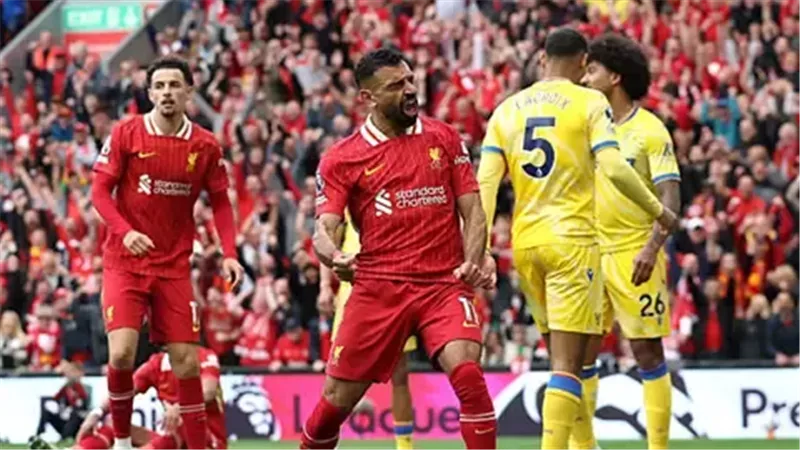 بث مباشر مباراة ليفربول