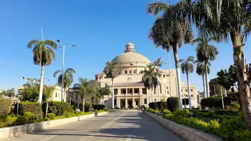تنسيق كلية الطب في