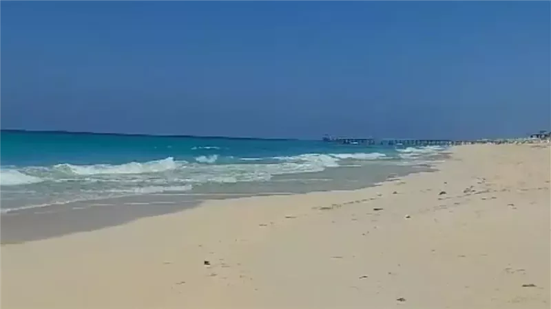 زلزال الساحل الشمالي