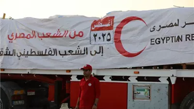 مصر تواصل إدخال المساعدات الإنسانية العاجلة إلى قطاع غزة 