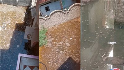 غرق قرية الناصرية في مياه الصرف الصحي بالشرقية، والأهالي يطالبون بمحاسبة المسئولين