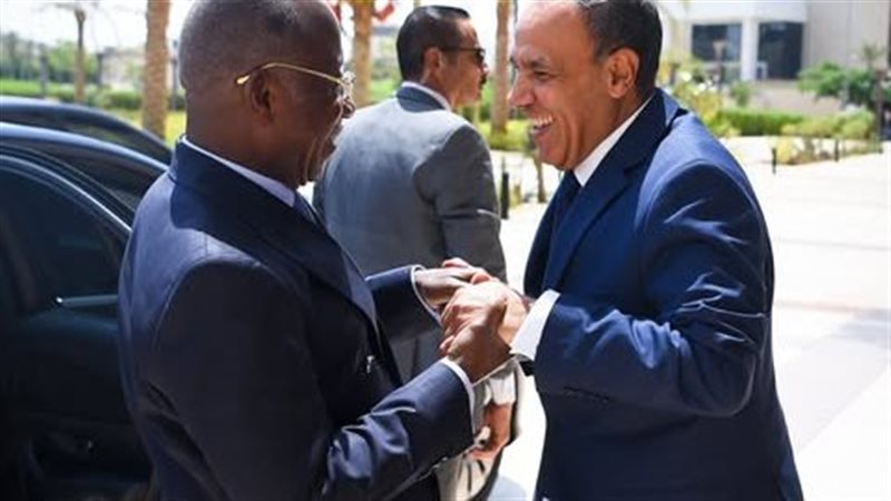 وزير الخارجية يلتقي