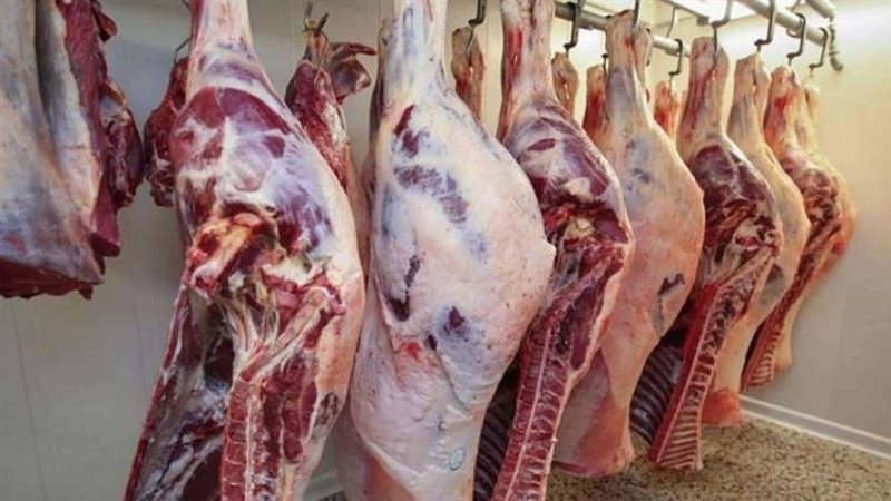 اسعار اللحوم في مصر