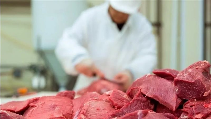 أسعار اللحوم والفراخ