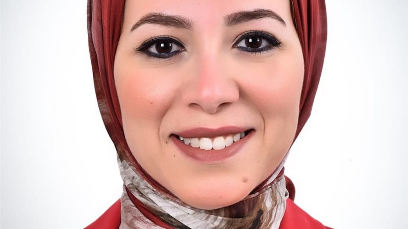 المهندسة عبير الشربيني