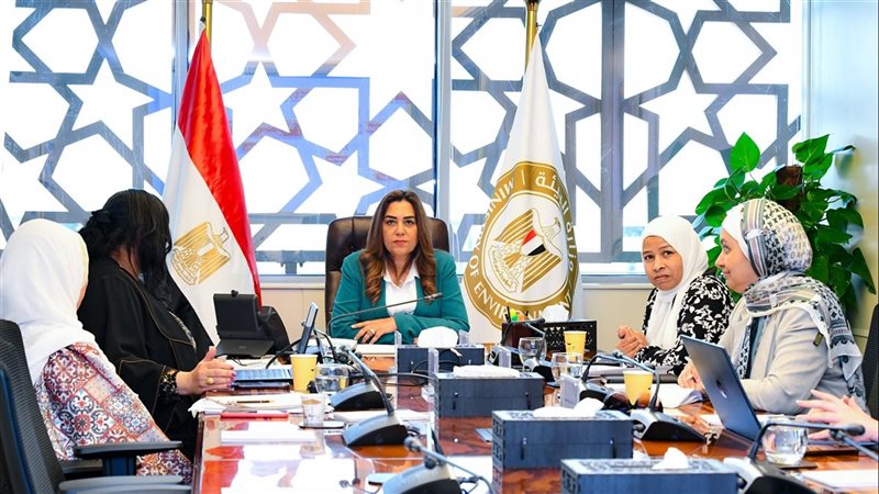 التنمية المحلية: