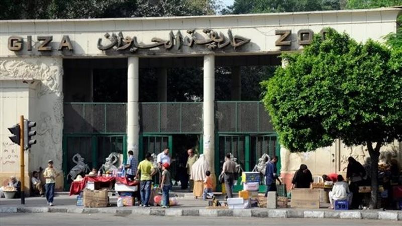 سعر تذكرة الدخول