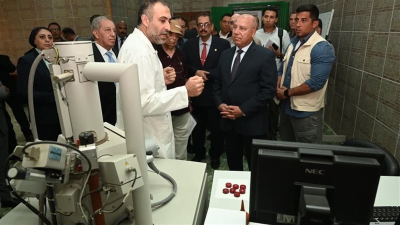كامل الوزير: دراسة