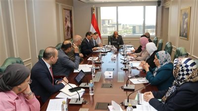 محمود عصمت: فصل الشركة المصرية لنقل الكهرباء خطوة نحو تحسين الأداء