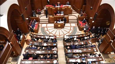 من هو المستشار عصام الدين فريد المرشح لتولي رئاسة مجلس الشيوخ؟  