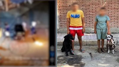 أطلق عليه كلبين شرسين، القبض على المتهمين بالتعدي على شاب بالإسكندرية