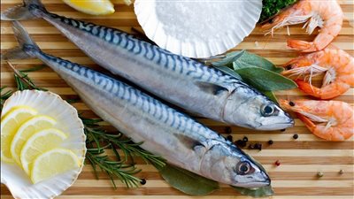 أسعار السمك للمستهلك في مصر اليوم الثلاثاء 19 أغسطس 2025