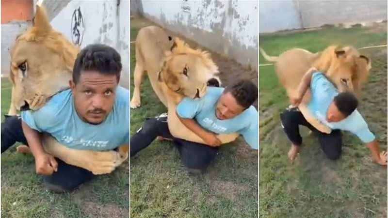 شاهد ليبي يطلق أسده