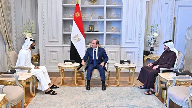 السيسي يلتقي الشيخ