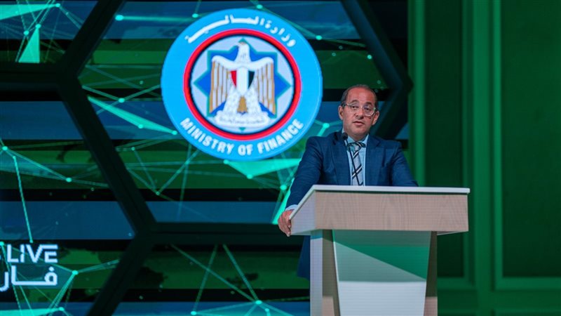 وزير المالية