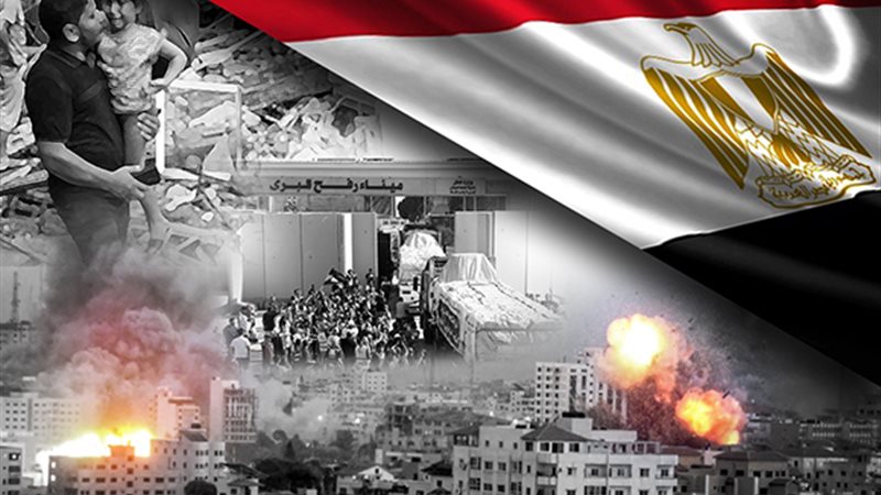 الجهود المصرية في