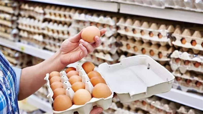 سبب ارتفاع اسعار