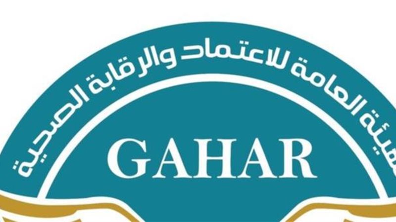رئيس الهيئة العامة