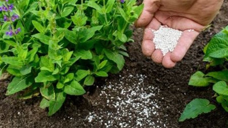 الطاقة الشمسية تنتج