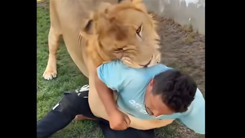 النيابة العامة تأمر