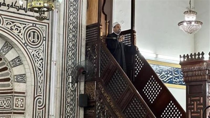 إن من الشجر شجرة
