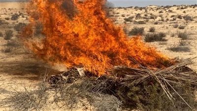 بنحو 800 مليون جنيه، الداخلية تضبط 26 طن مخدرات في الإسماعيلية 