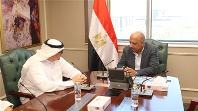 تفاصيل لقاء وزير الكهرباء مع رئيس شركة إماراتية لتوليد الكهرباء من الشمس والرياح 