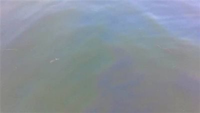 نجاح جهود احتواء بقعة زيت في النيل أمام مأخذ محطة مياه الأقصر الرئيسية