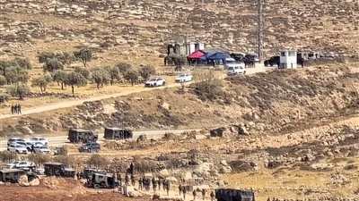 لليوم الثاني على التوالي، إسرائيل تقتلع أشجار الزيتون في الضفة الغربية