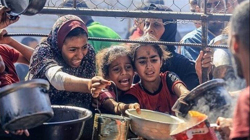 مصر تعرب عن بالغ