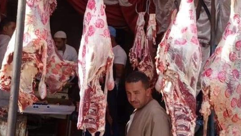 أسعار اللحوم
