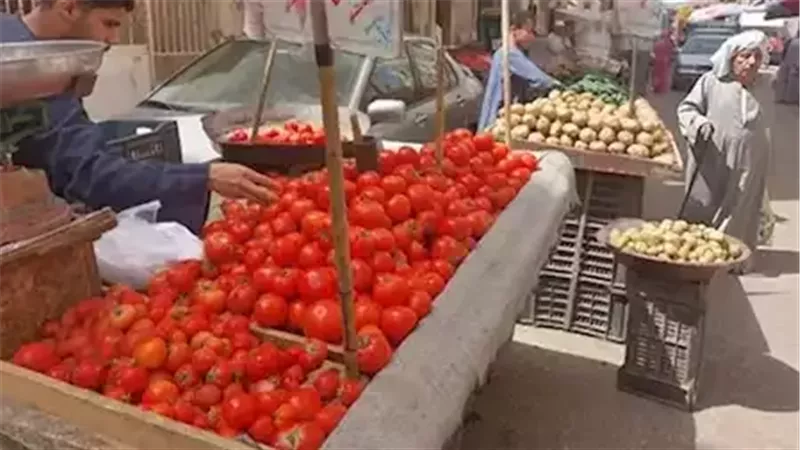 هل سترتفع اسعار الطماطم؟