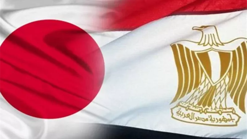 العلاقات المصرية