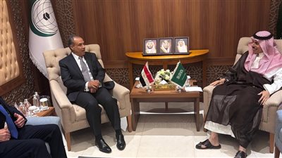 على هامش اجتماع منظمة التعاون الإسلامي، عبد العاطي يلتقي بنظيره السعودي