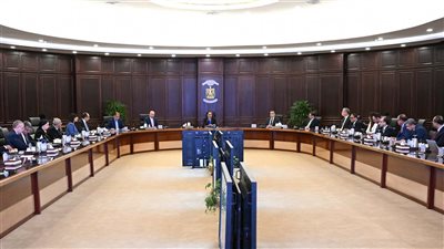 اجتماع عاجل في رئاسة الوزراء لتوفير المواد البترولية لقطاعي الصناعة والزراعة|تفاصيل