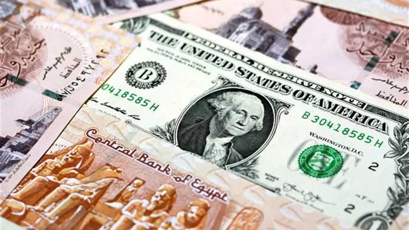 سعر الدولار اليوم