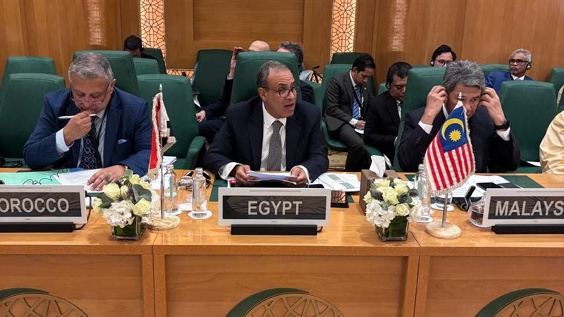 وزير الخارجية يشارك